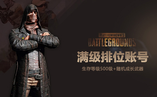 绝地求生500级+随机成长武器排位号